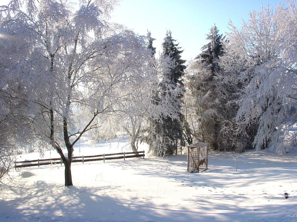 Fewo Holms Winterberg Habitación foto
